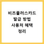 비즈플러스카드 발급 방법 사용처 혜택 정리