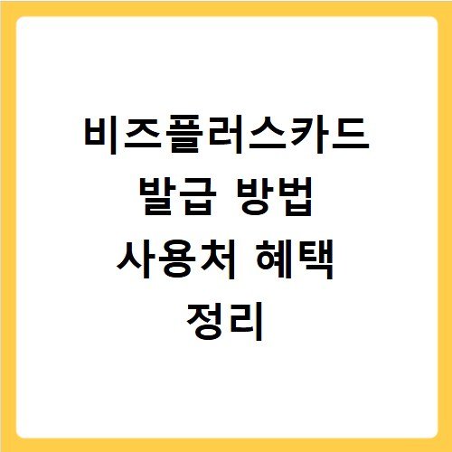 비즈플러스카드 발급 방법 사용처 혜택 정리