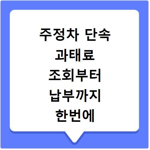 주정차 단속 과태료 조회부터 납부까지 한번에