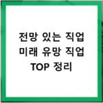 전망 있는 직업 미래 유망 직업 TOP 정리