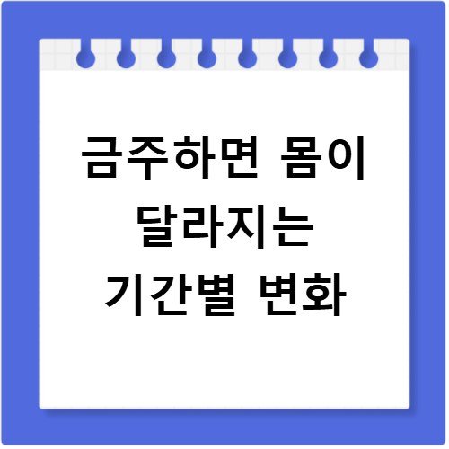금주하면 몸이 달라지는 기간별 변화