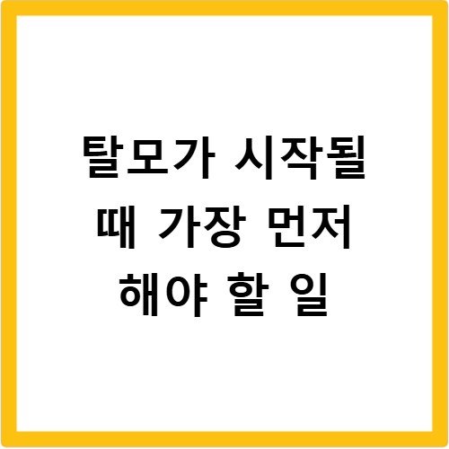 탈모가 시작될 때 가장 먼저 해야 할 일